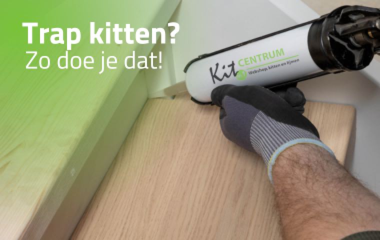 Trap kitten, zo doe je dat!
