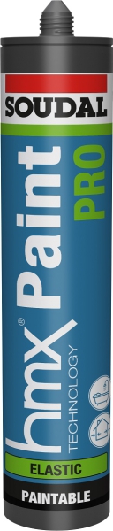 Soudal HMX Paint Pro 300ml